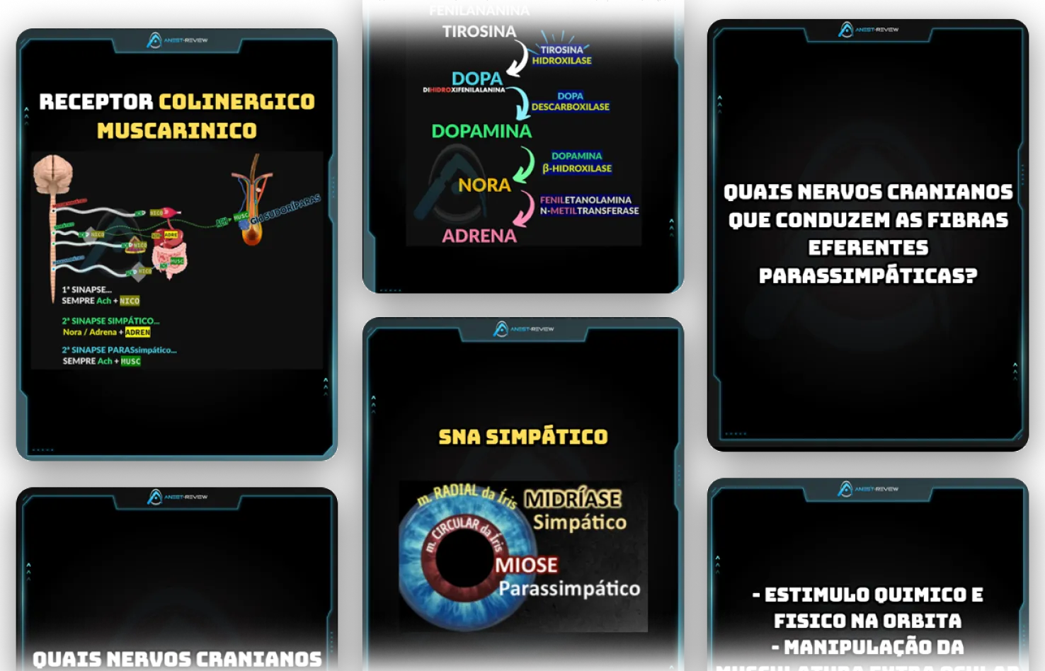 Flashcards com revisão espaçada do Anest-Review